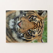 BENGAL TIGER JIGSAW PUZZLE LEGPUZZEL (Horizontaal)