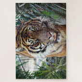 Bengal Tiger kijkt naar je Legpuzzel (Verticaal)