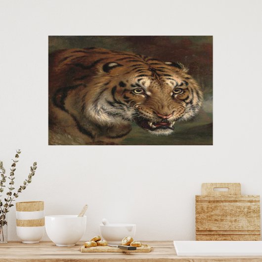 Bengal Tiger kijkt naar je poster (Keuken)