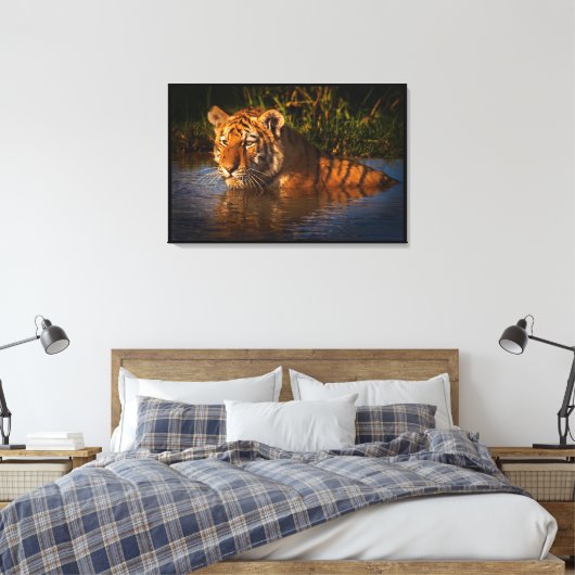 Bengal Tiger kijkt naar je uit het water Canvas Afdruk (Insitu (Slaapkamer))