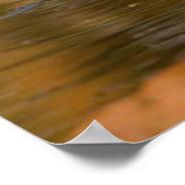 Bengal Tiger kijkt naar je vanaf het poster 2 (Hoek)