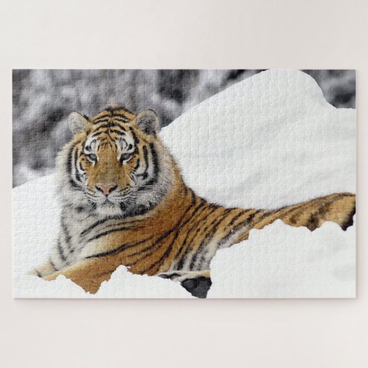 Bengal Tiger kijkt uit naar je op de sneeuw Legpuzzel (Horizontaal)