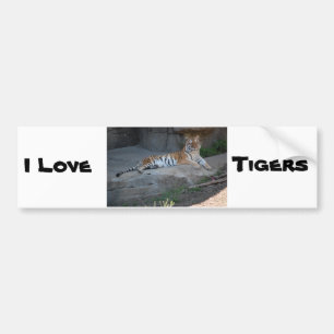 Bengal Tiger Love Bumpersticker
