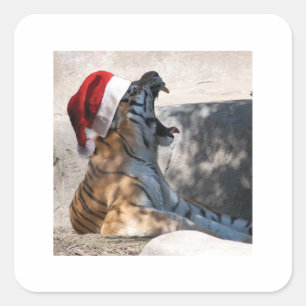 Bengal Tiger met kerstcadeau Vierkante Sticker
