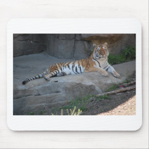 Bengal Tiger Muismat