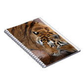 Bengal Tiger Notitieboek (Rechterzijde)