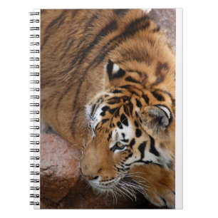 Bengal Tiger Notitieboek