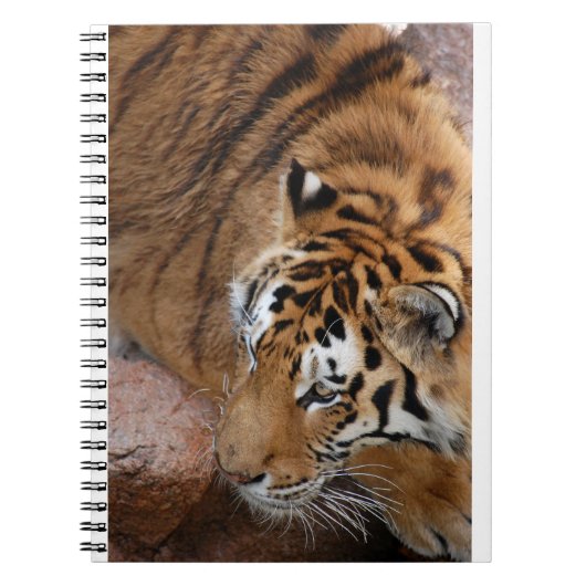 Bengal Tiger Notitieboek (Voorkant)