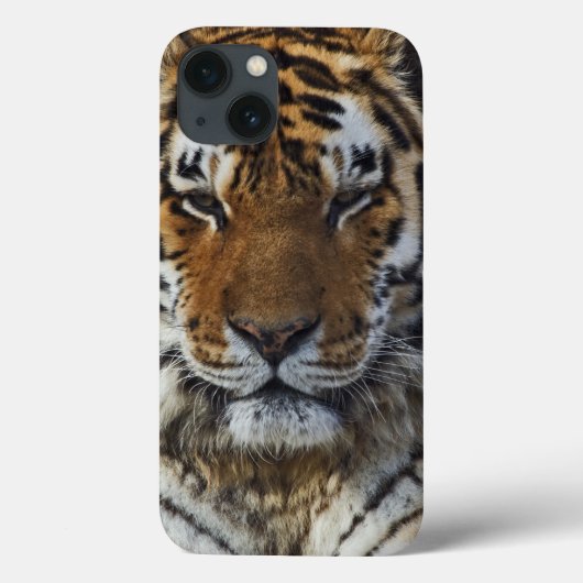 Bengal Tiger, Panthera tigris, Louisville Zoo Case-Mate iPhone Case (Achterkant)