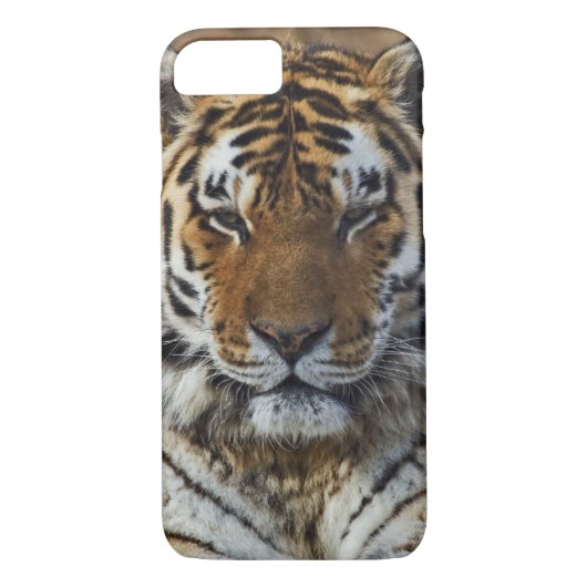 Bengal Tiger, Panthera tigris, Louisville Zoo Case-Mate iPhone Case (Achterkant)