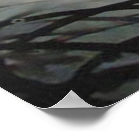 Bengal Tiger Poster (Hoek)