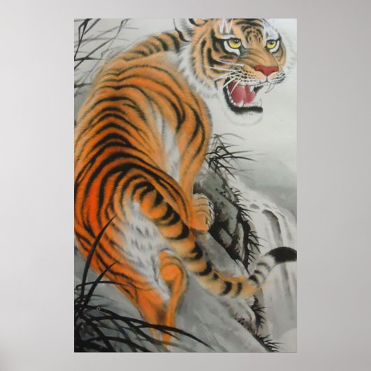 Bengal Tiger Poster (Voorkant)