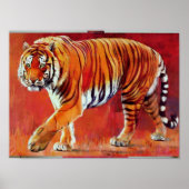 Bengal Tiger Poster (Voorkant)