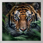 Bengal Tiger Poster (Voorkant)
