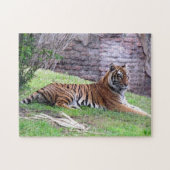 Bengal Tiger Puzzle Legpuzzel (Horizontaal)