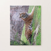Bengal Tiger Puzzle Legpuzzel (Verticaal)