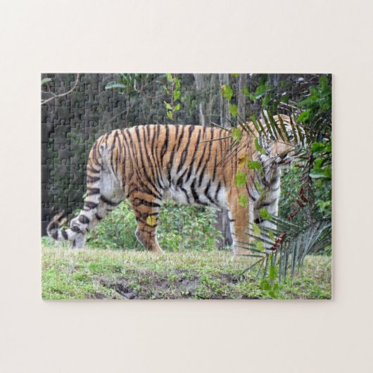 Bengal Tiger Puzzle Legpuzzel (Horizontaal)