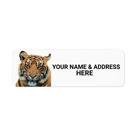 BENGAL TIGER RETURN ADRES ETIKETTERS ETIKET (Voorkant)