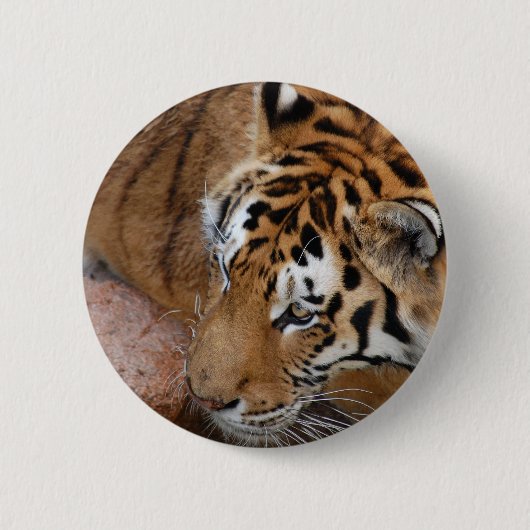 Bengal Tiger Ronde Button 5,7 Cm (Voorkant)