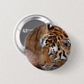 Bengal Tiger Ronde Button 5,7 Cm (Voorkant /achterkant)