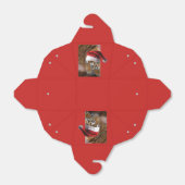 Bengal Tiger Santa Claus Bedankdoosjes (Uitgevouwen)