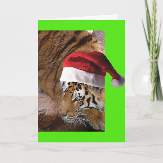 Bengal Tiger Santa Claus Kaart (Voorkant)