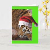 Bengal Tiger Santa Claus Kaart (Gele Bloem)