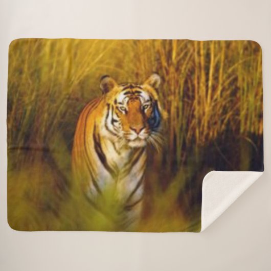 BENGAL TIGER SHERPA DEKEN (Voorkant (horizontaal))