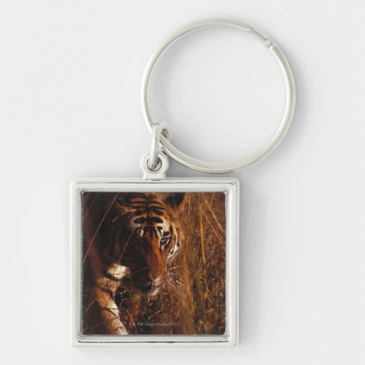 Bengal Tiger Sleutelhanger (Voorkant)