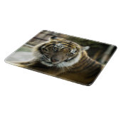 Bengal Tiger Snijplank (Hoek)