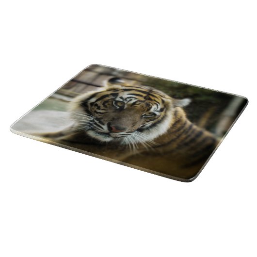 Bengal Tiger Snijplank (Hoek)