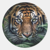 Bengal Tiger Sticker (Voorkant)