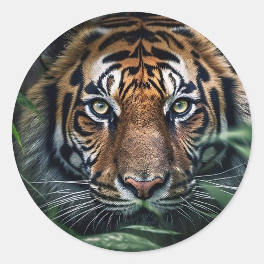 Bengal Tiger Sticker (Voorkant)