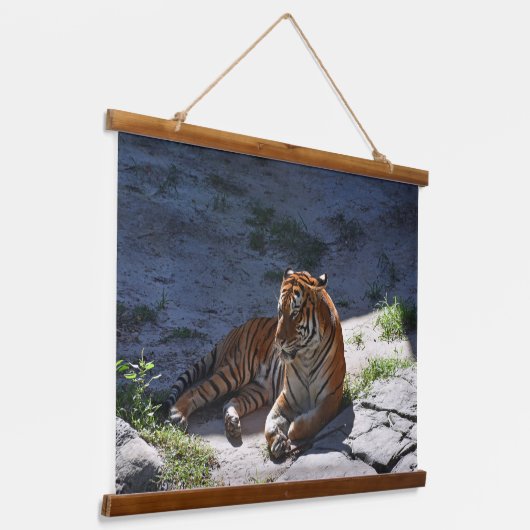 Bengal Tiger Sunbathing Hangend Wandkleed (Gebogen)