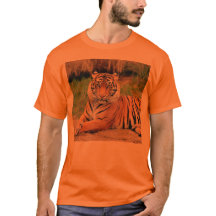 Bengal Tiger
