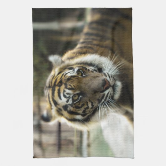 Bengal Tiger Theedoek (Verticaal)