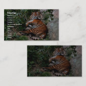Bengal Tiger Visitekaartje (Voorkant / Achterkant)