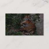 Bengal Tiger Visitekaartje (Achterkant)