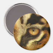 Bengal Tiger's Eye Wildlife Big Cat Lover Foto Magneet (Voorkant / Achterkant)