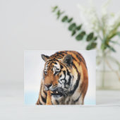 Bengal Tigers Wild Life Briefkaart (Staand voorkant)