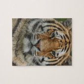 BENGAL TIJGER LEGPUZZEL (Horizontaal)