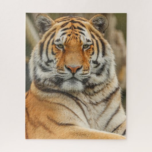 BENGAL TIJGER LEGPUZZEL (Verticaal)