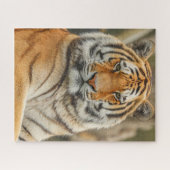 BENGAL TIJGER LEGPUZZEL (Horizontaal)