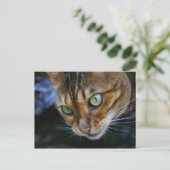 Bengale kat close-up briefkaart (Staand voorkant)