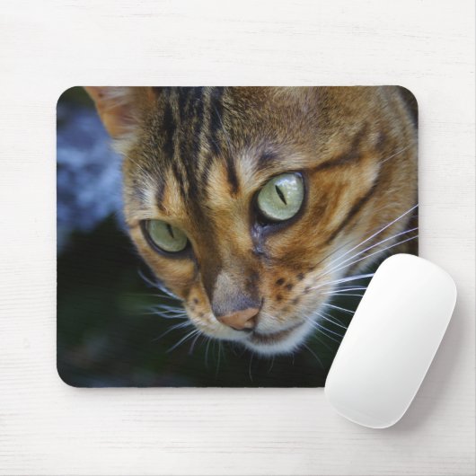 Bengale kat close-up muismat (Met muis)