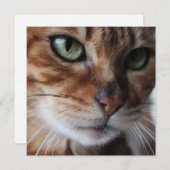 Bengale kat foto, past dit aan feestdagenkaart (Voorkant / Achterkant)