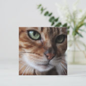 Bengale kat foto, past dit aan feestdagenkaart (Staand voorkant)