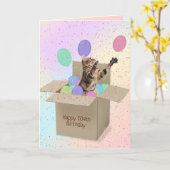 Bengale kat in kartonnen doos voor 104e verjaardag kaart (Gele Bloem)