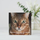 Bengale Kat Kop Foto "Had je een cadeautje gegeven Feestdagenkaart (Staand voorkant)