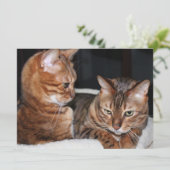 Bengale katten voegen je eigen memoriegroet toe feestdagenkaart (Staand voorkant)